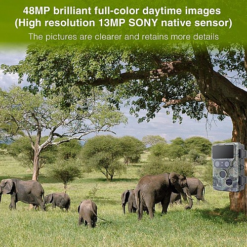 Камера фотопастка 60MP/4K із підтримкою WiFi Redleaf DTC10