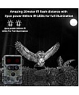 Камера фотопастка 60MP/4K із підтримкою WiFi Redleaf DTC10