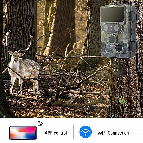 Камера фотопастка 60MP/4K із підтримкою WiFi Redleaf DTC10