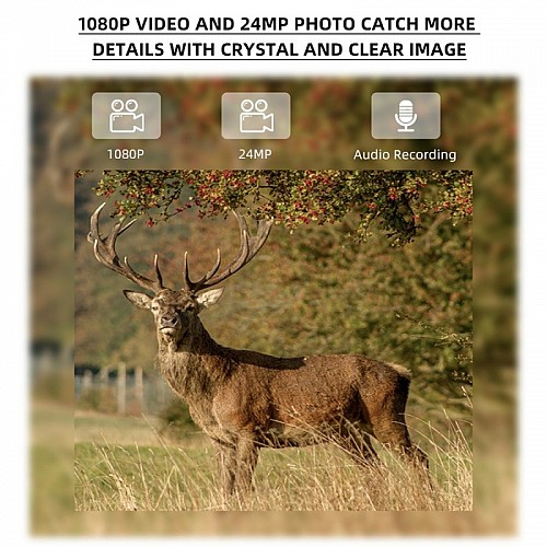 Камера фотопастка 24MP/1080P 80° із підтримкою 4G Redleaf RD3069G