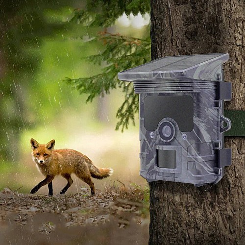 Камера-фотоловушка 24MP/2.7K с поддержкой ночного видения Redleaf RD7000