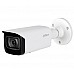 Уличная камера видеонаблюдения 4Mп IP Starlight DH-IPC-HFW2431T-AS-S2 (8 мм) Dahua