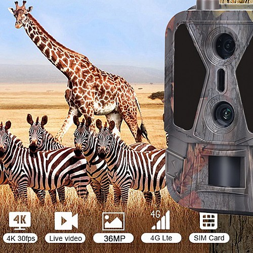 4G 4K камера-фотоловушка с двумя объективами и APP-управлением Suntek HC-950Pro-li