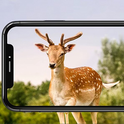 4G 4K камера-фотоловушка с двумя объективами и APP-управлением Suntek HC-950Pro-li